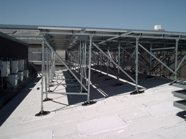 Natural History Roof Support System