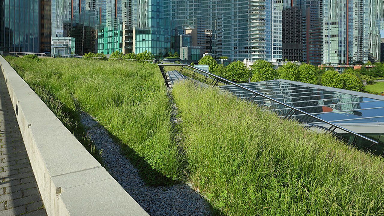 Resilient and Reliable: Creating Sustainable, High-Performing Roofs